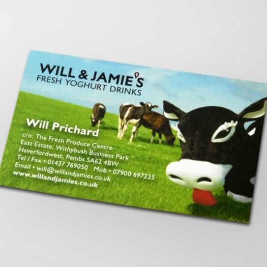 Business card designers Pembrokeshire Tenby Narberth Haverfordwest