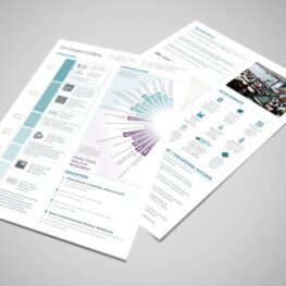 CV designers in Pembrokeshire for Cardiff consultant