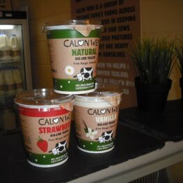 Calon Wen graohic designers Pembrkeshire