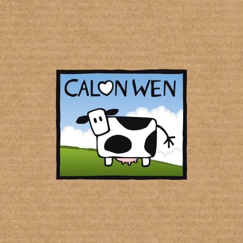 Creating Pack Shot Photography in Photoshop for The Calon Wen Dairy Pembrokeshire Graphic Design Case Study