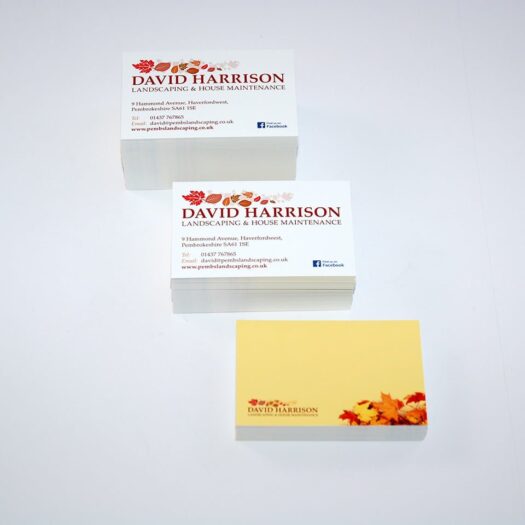 Business card designers Pembrokeshire Tenby Narberth Haverfordwest