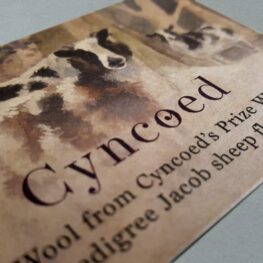 business card designers pembrokeshire haverfordwest Tenby Narberth