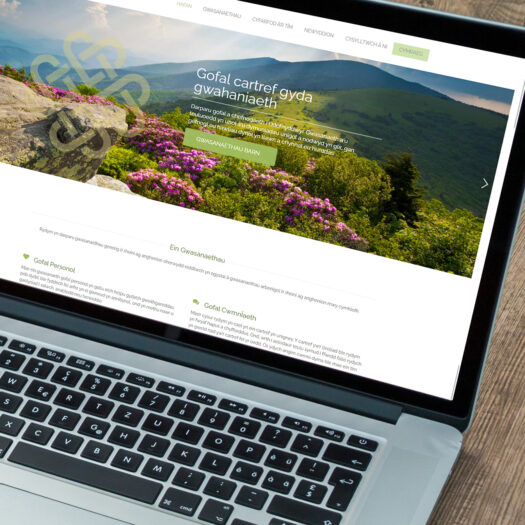 web development firm