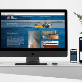 uk website development