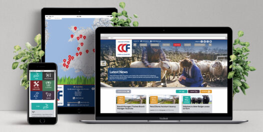 Website designers pembrokeshire tenby narberth haverfordwest