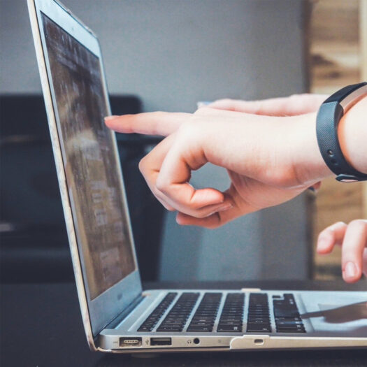 Free Website Designers