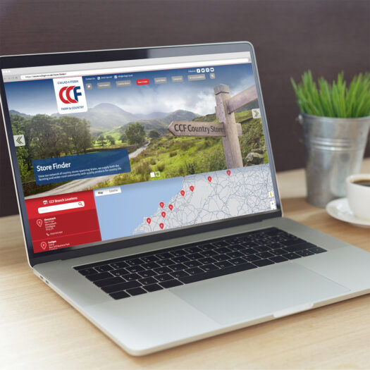 Creative website designers in Pembrokeshire